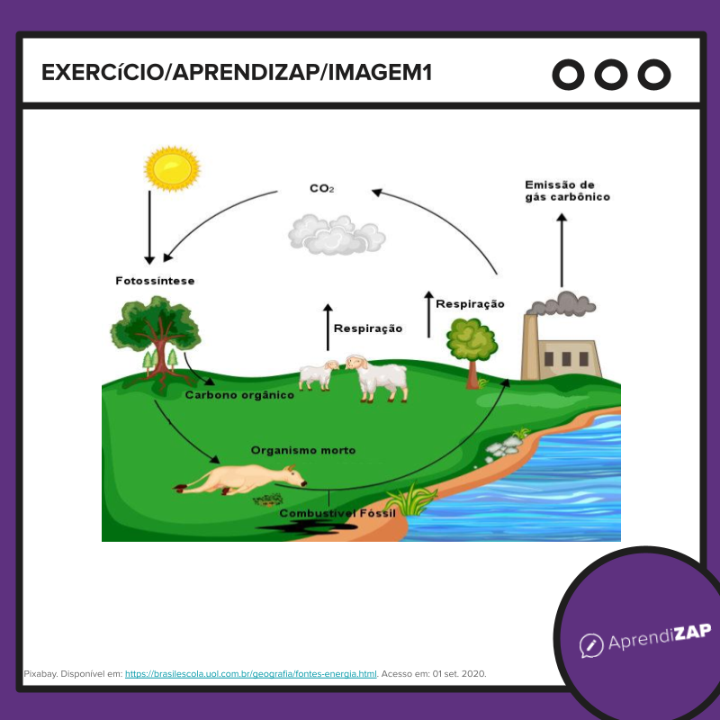 Imagem do exercício 1