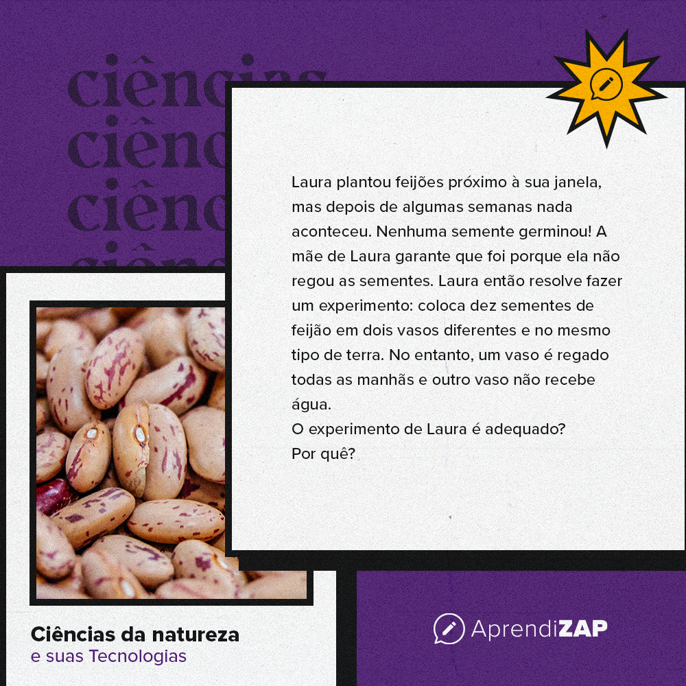 Mídia do exercício 1