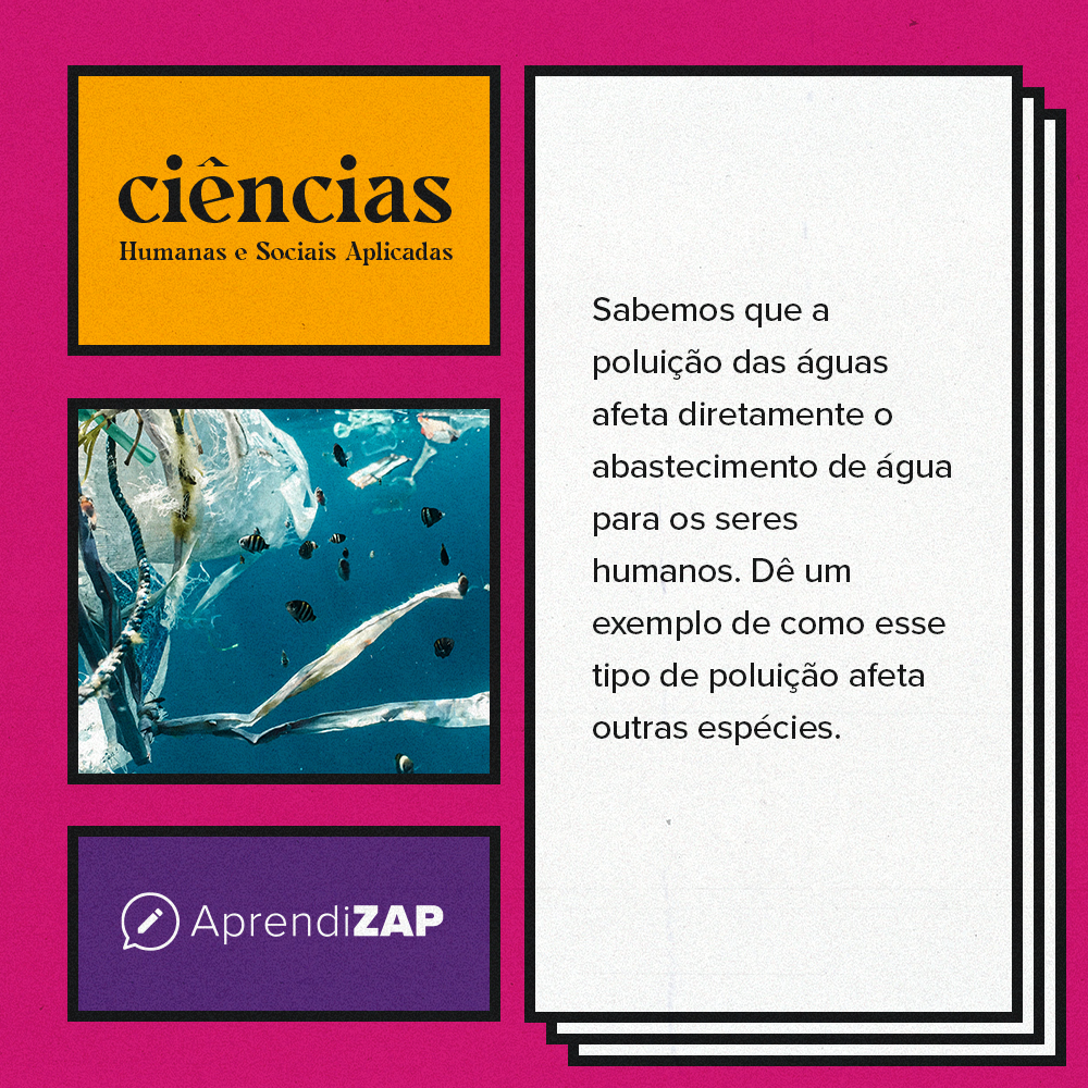 Mídia do exercício 1