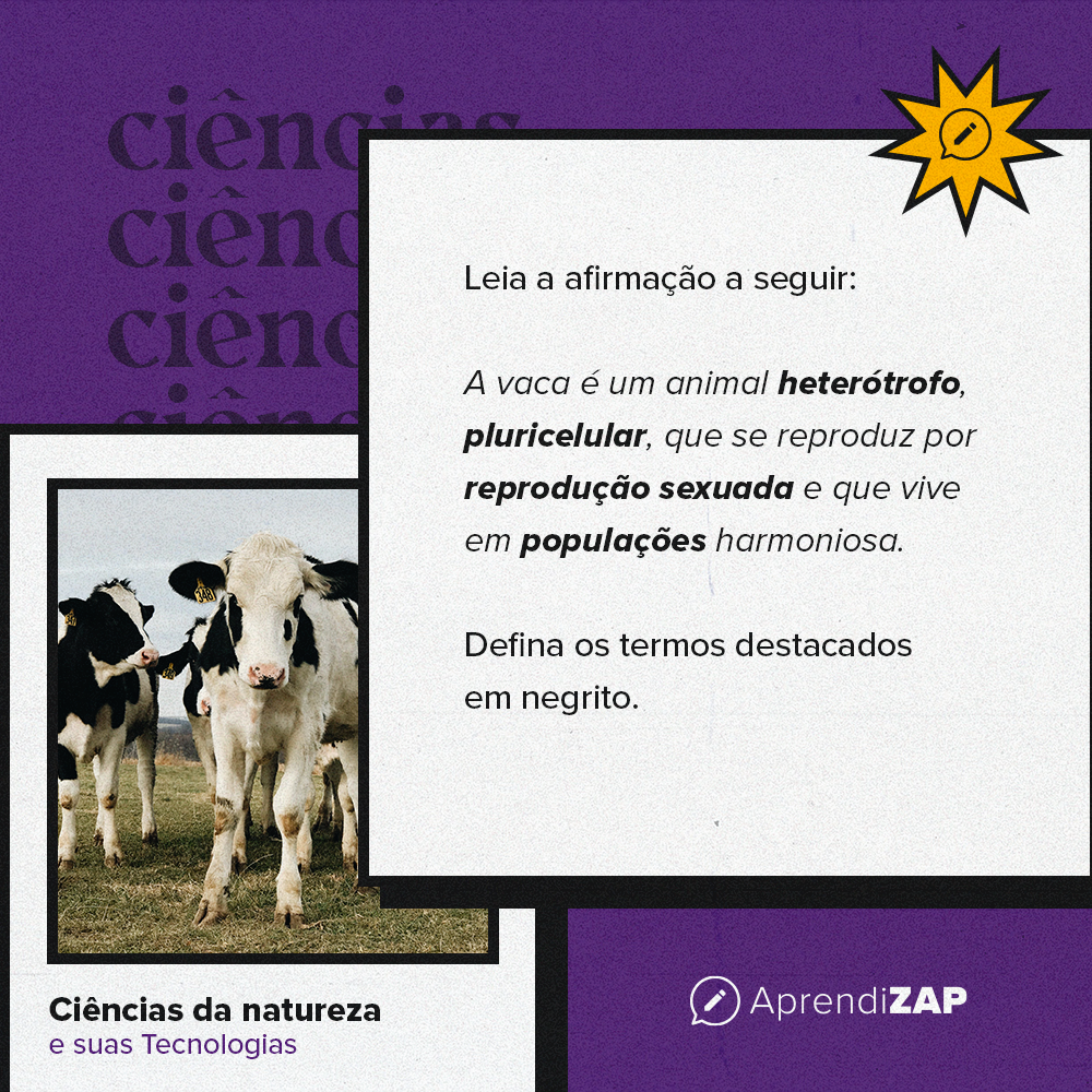 Mídia do exercício 1