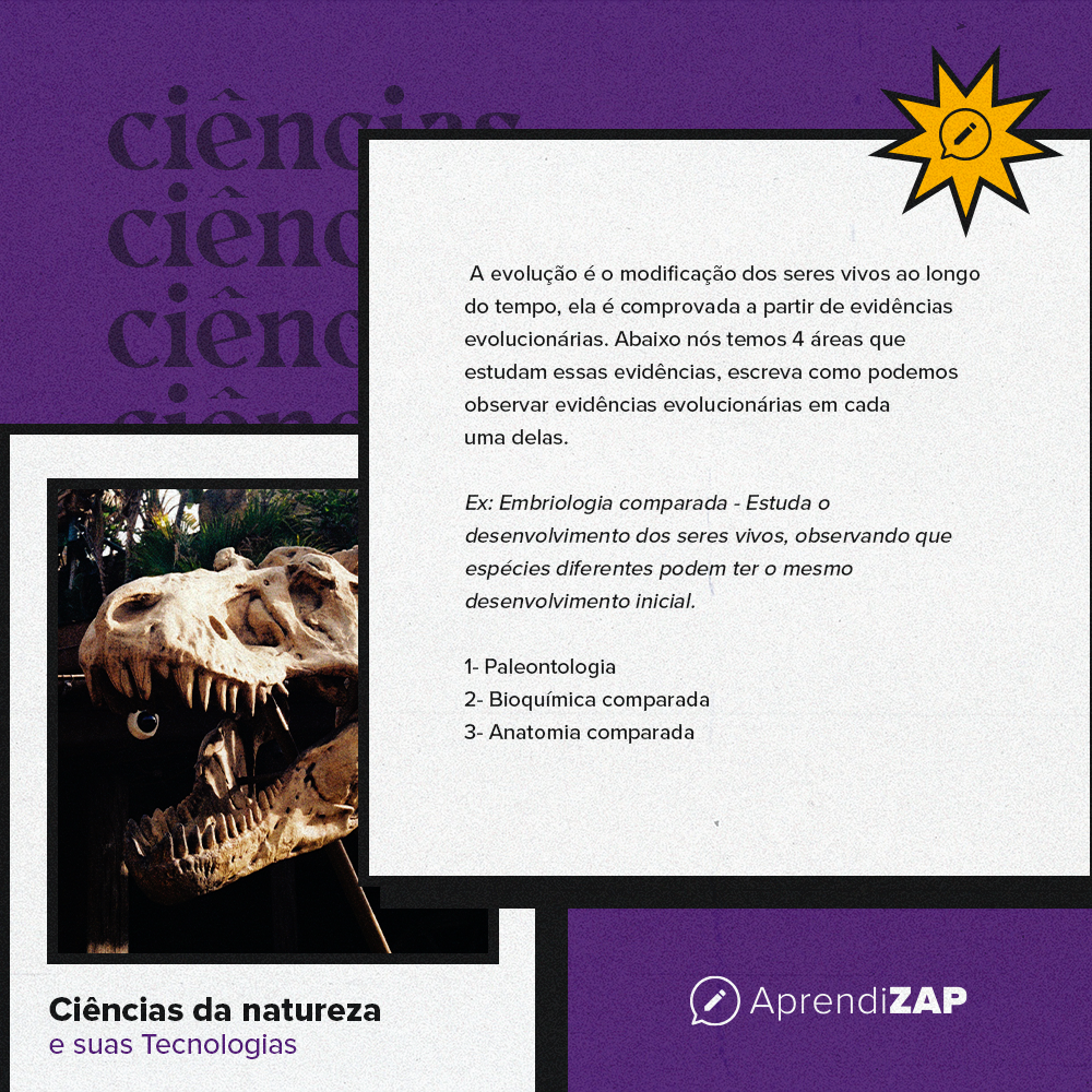 Mídia do exercício 1