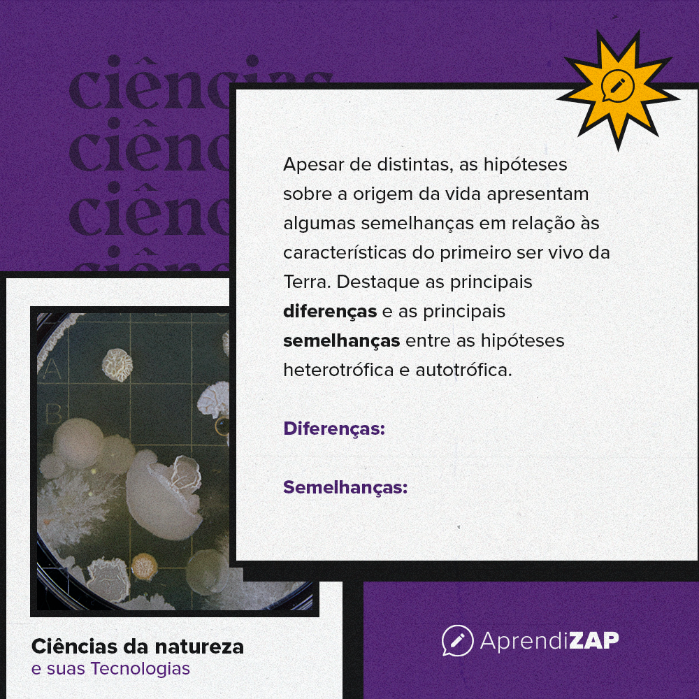 Mídia do exercício 1