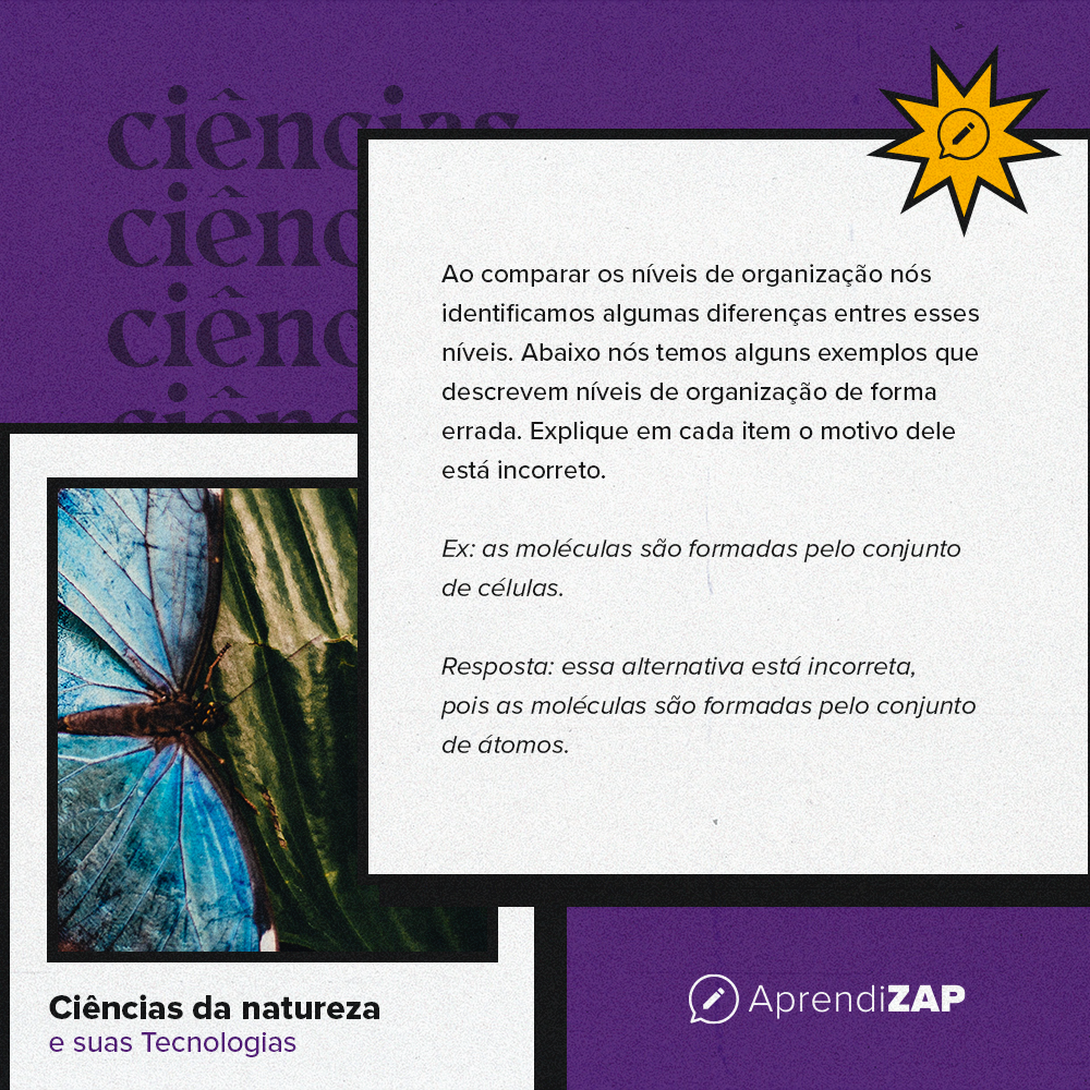 Mídia do exercício 1