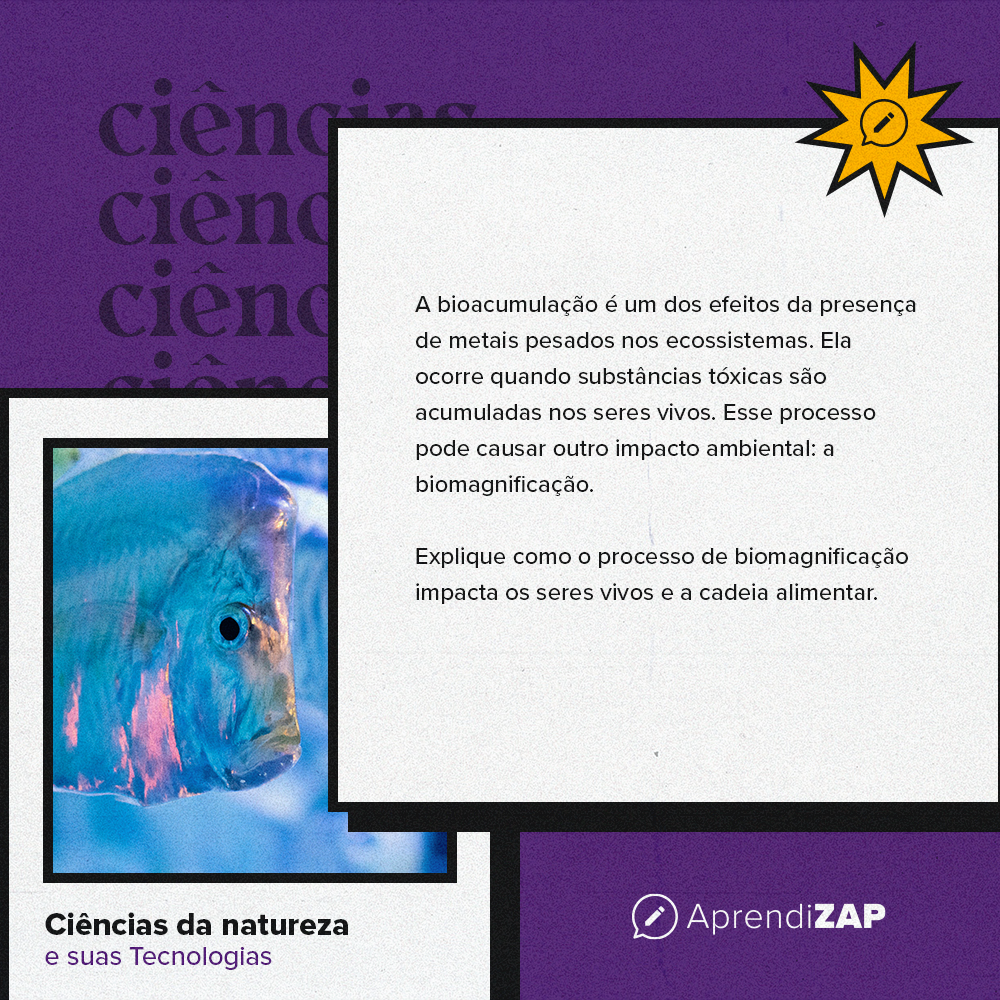 Mídia do exercício 1