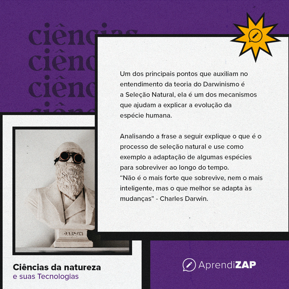 Mídia do exercício 1