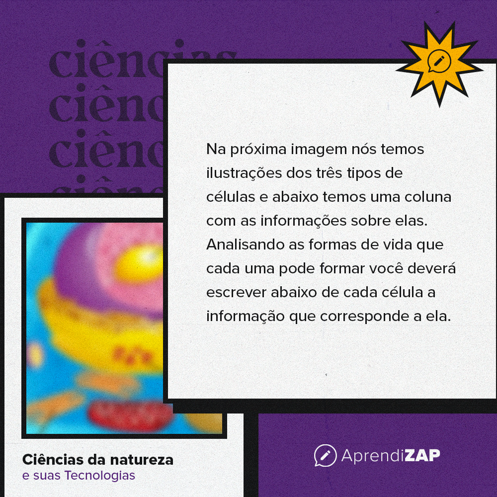 Mídia do exercício 1