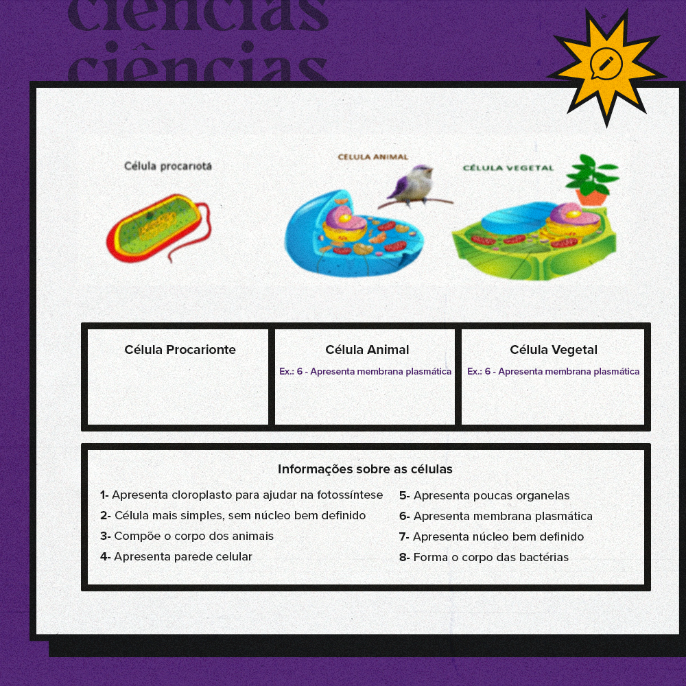 Mídia do exercício 2