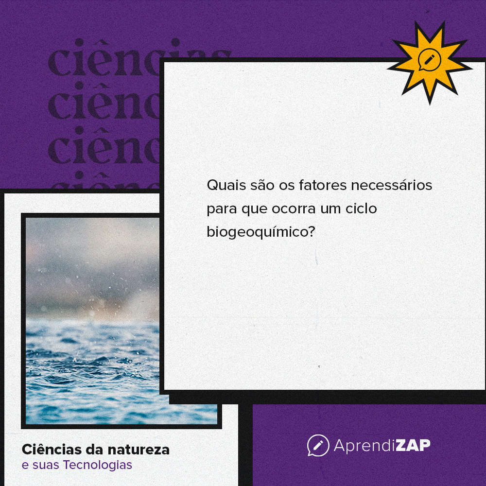 Mídia do exercício 1