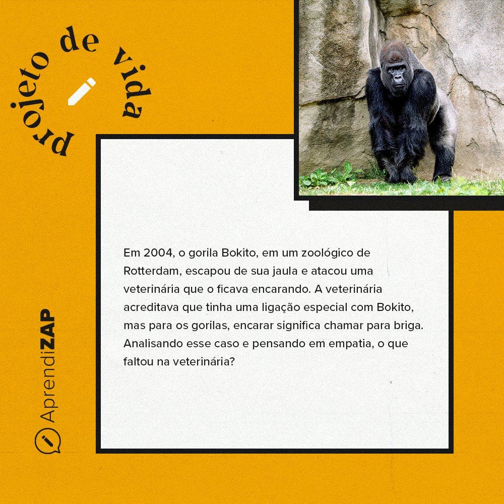 Mídia do exercício 1