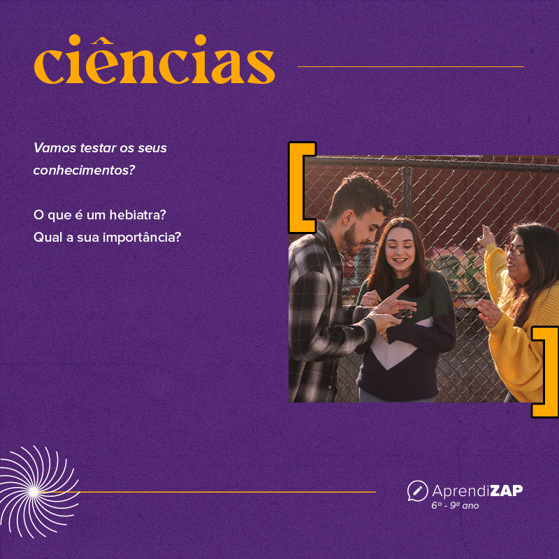 Mídia do exercício 1