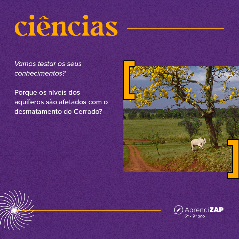 Mídia do exercício 1