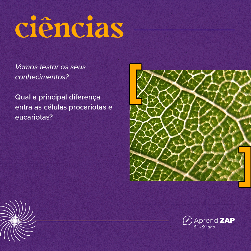 Mídia do exercício 1