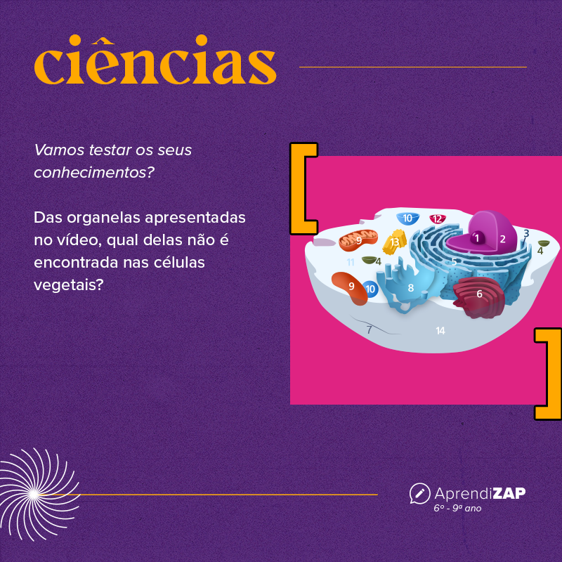 Mídia do exercício 1