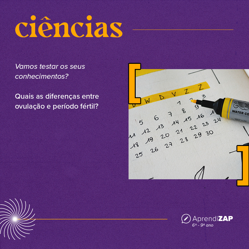 Mídia do exercício 1