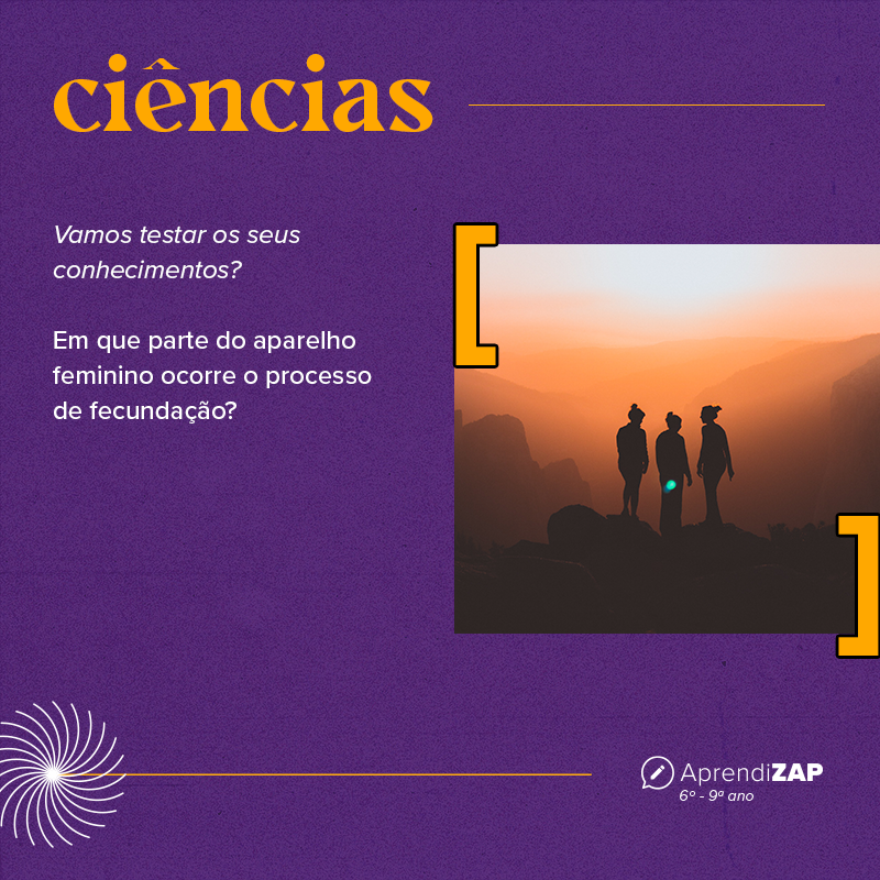 Mídia do exercício 1