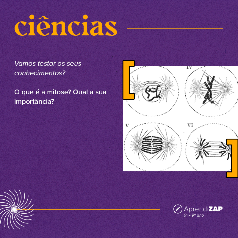 Mídia do exercício 1