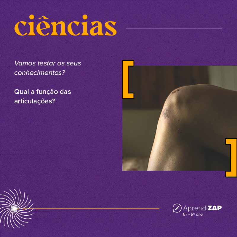 Mídia do exercício 1