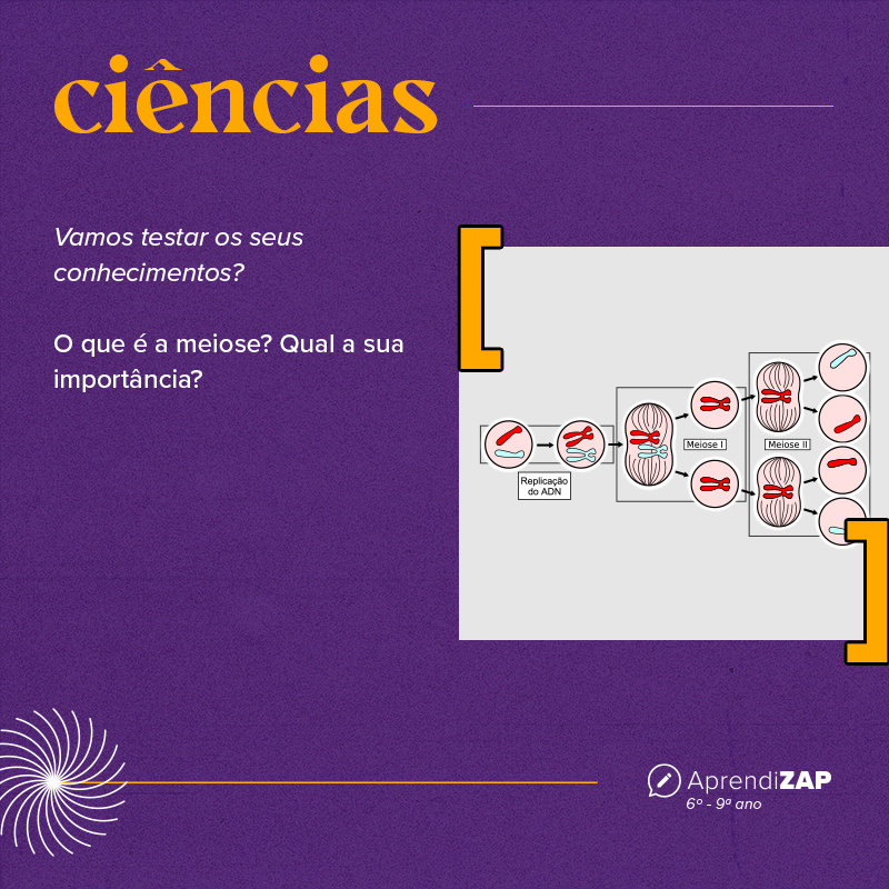 Mídia do exercício 1