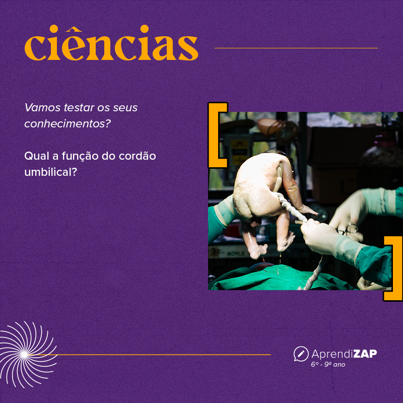 Mídia do exercício 1