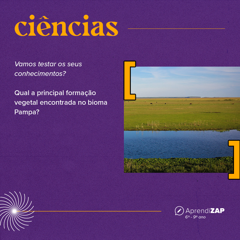 Mídia do exercício 1