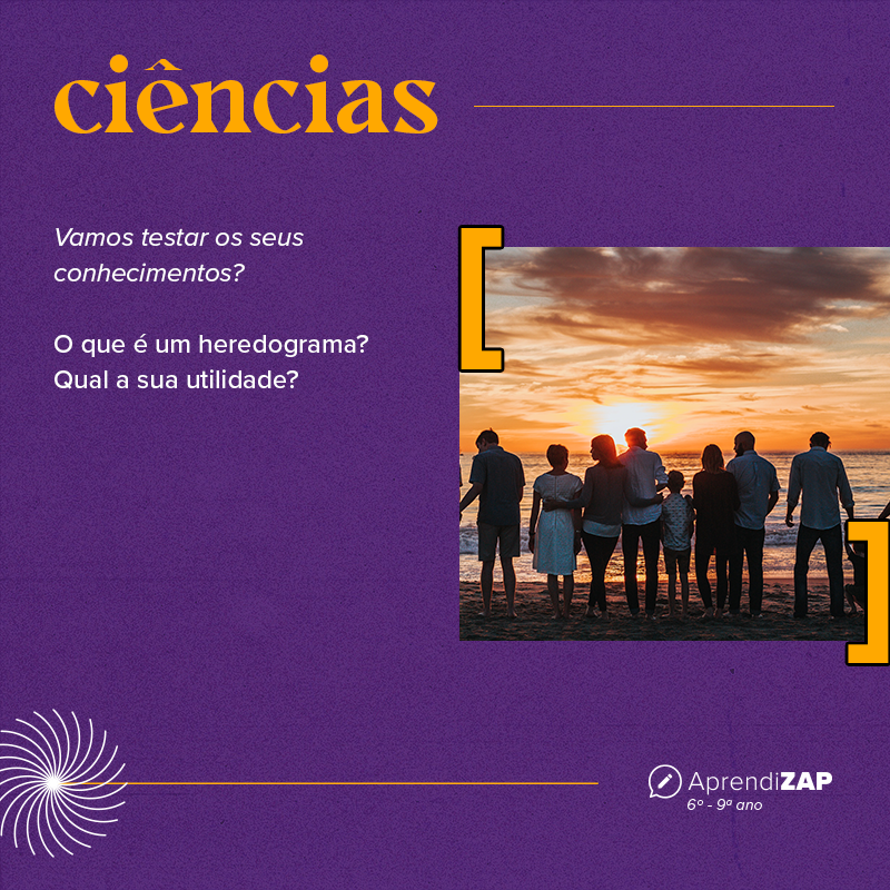 Mídia do exercício 1