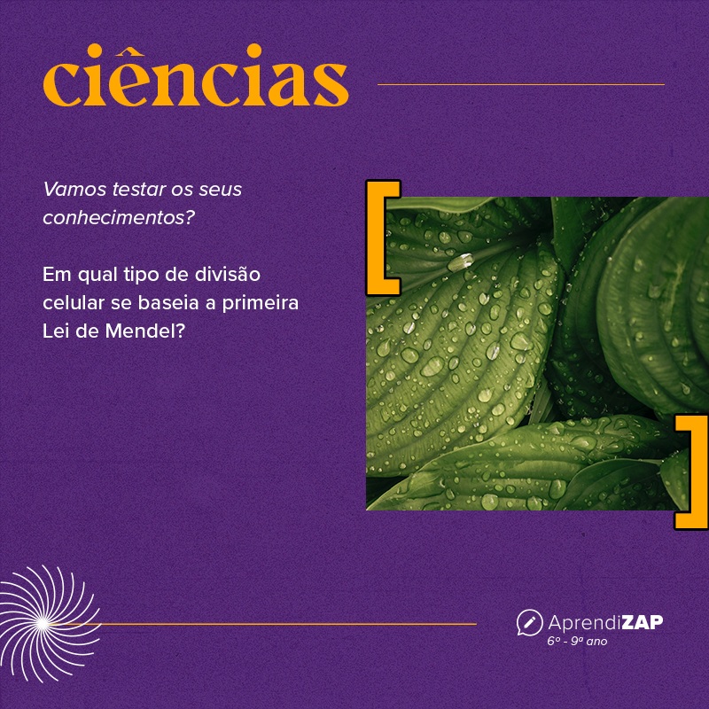 Mídia do exercício 1