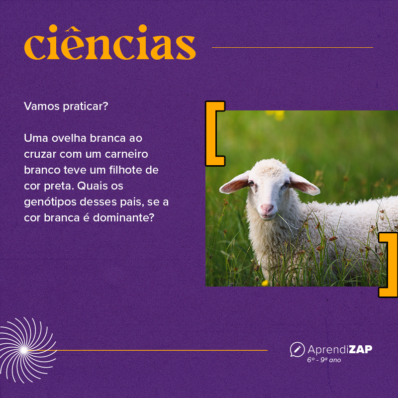 Mídia do exercício 1