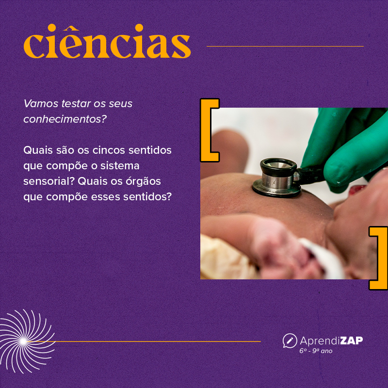 Mídia do exercício 1