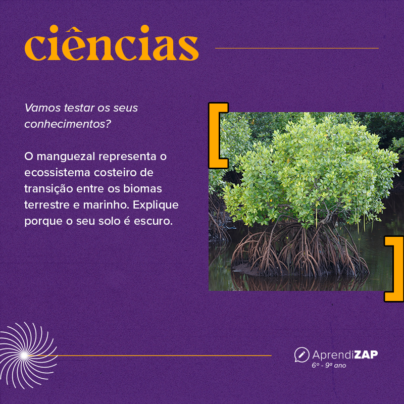 Mídia do exercício 1