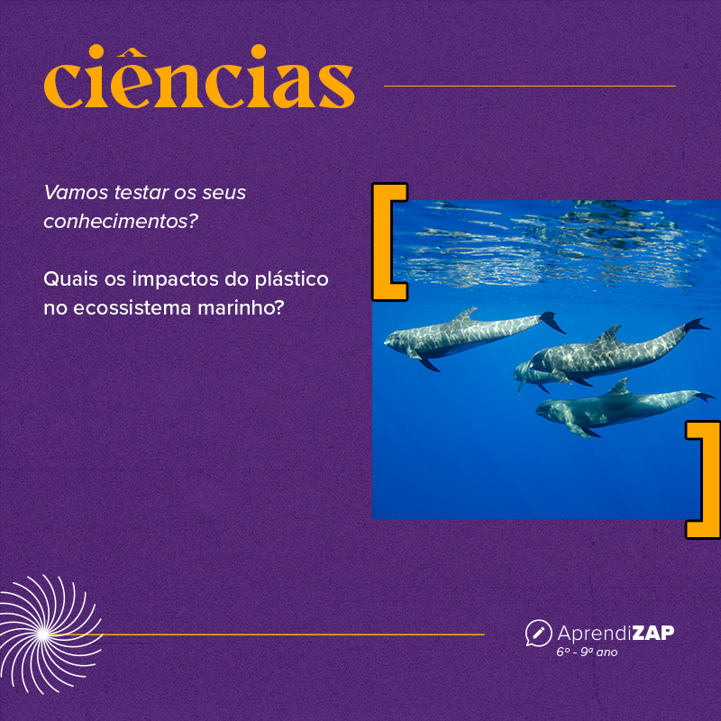 Mídia do exercício 1