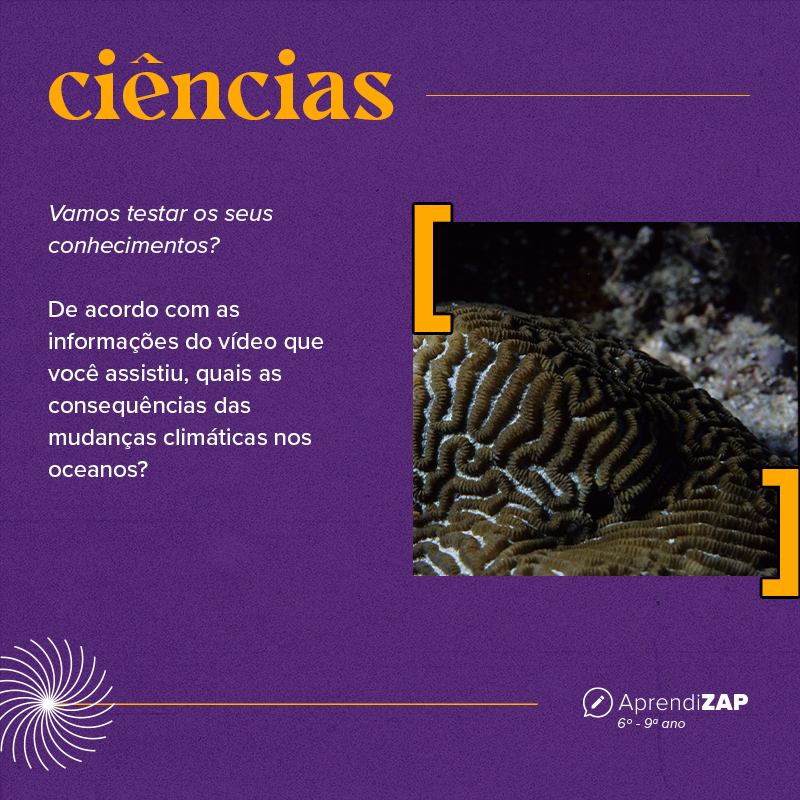 Mídia do exercício 1