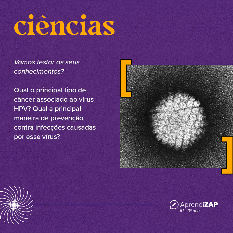 Mídia do exercício 1