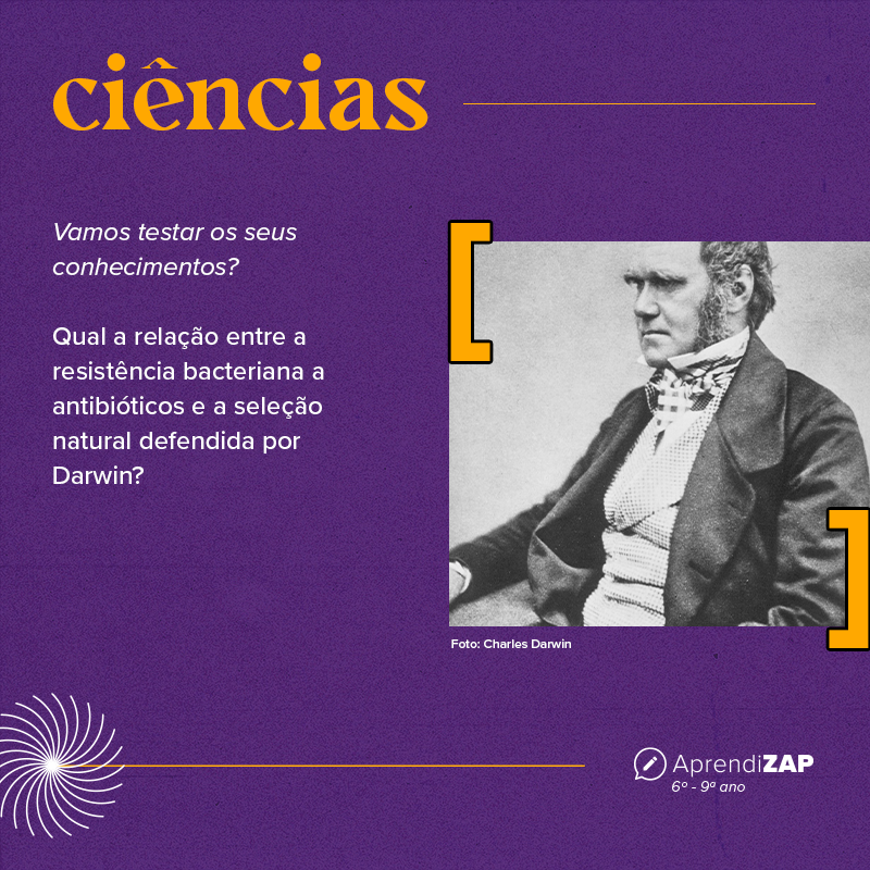 Mídia do exercício 1