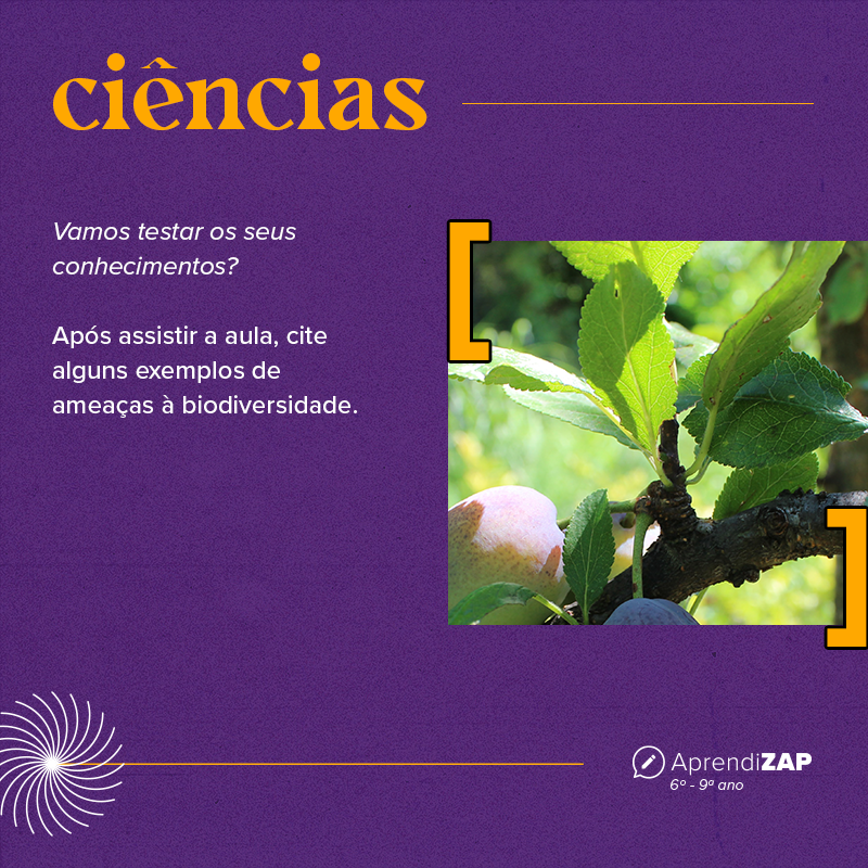 Mídia do exercício 1