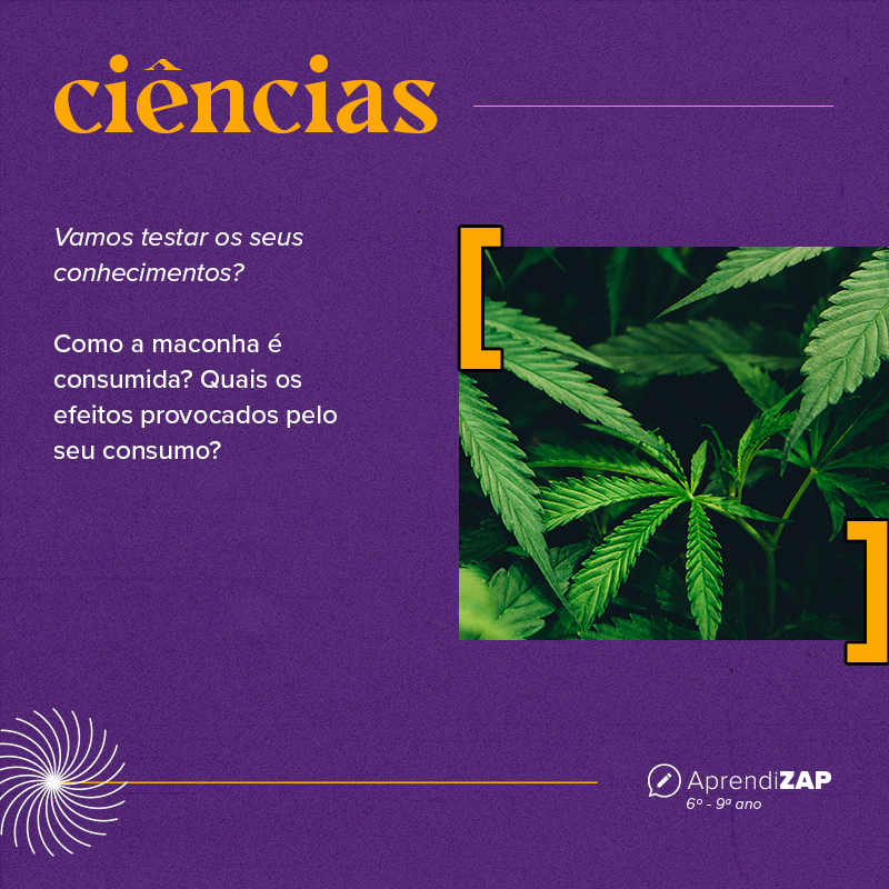 Mídia do exercício 1