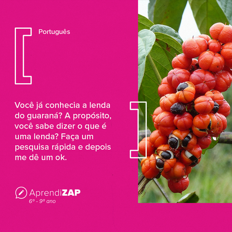 Mídia do exercício 1