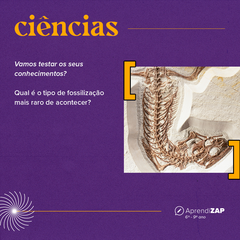 Mídia do exercício 1