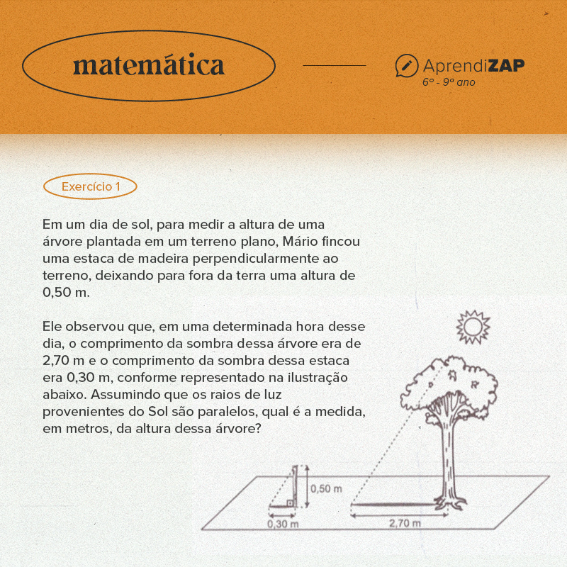 Mídia do exercício 1