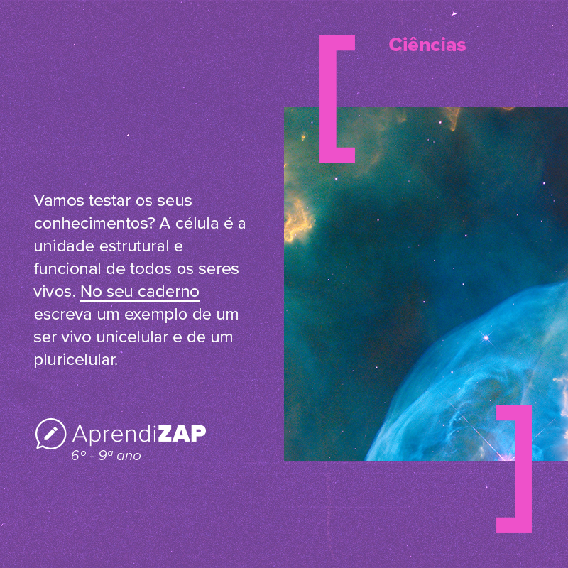 Mídia do exercício 1