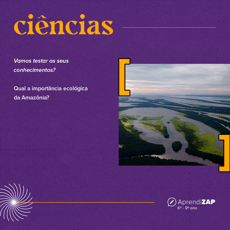 Mídia do exercício 1