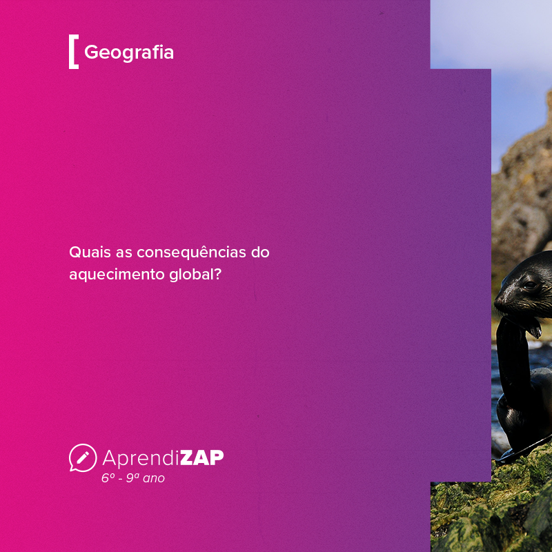 Mídia do exercício 1