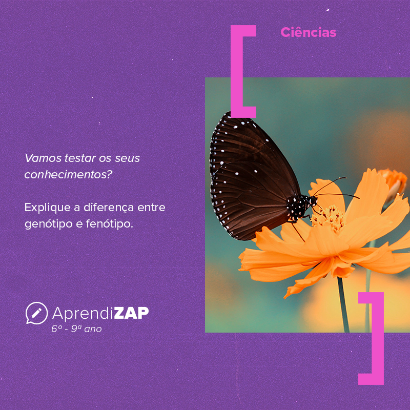 Mídia do exercício 1