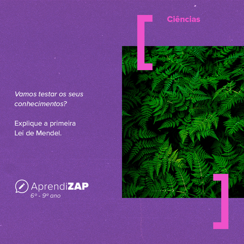 Mídia do exercício 1