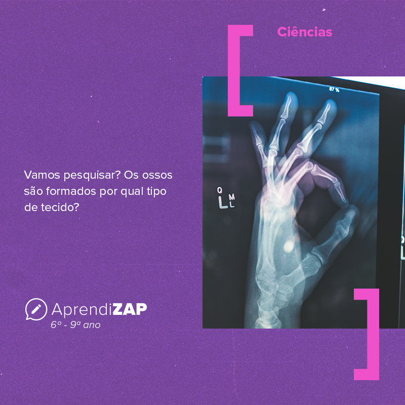 Mídia do exercício 1