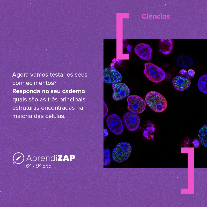 Mídia do exercício 1