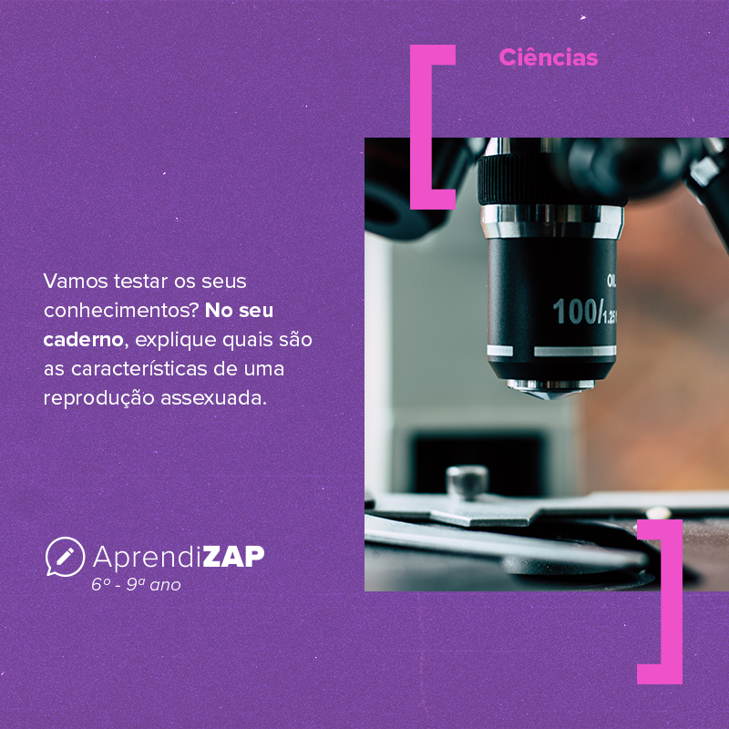 Mídia do exercício 1