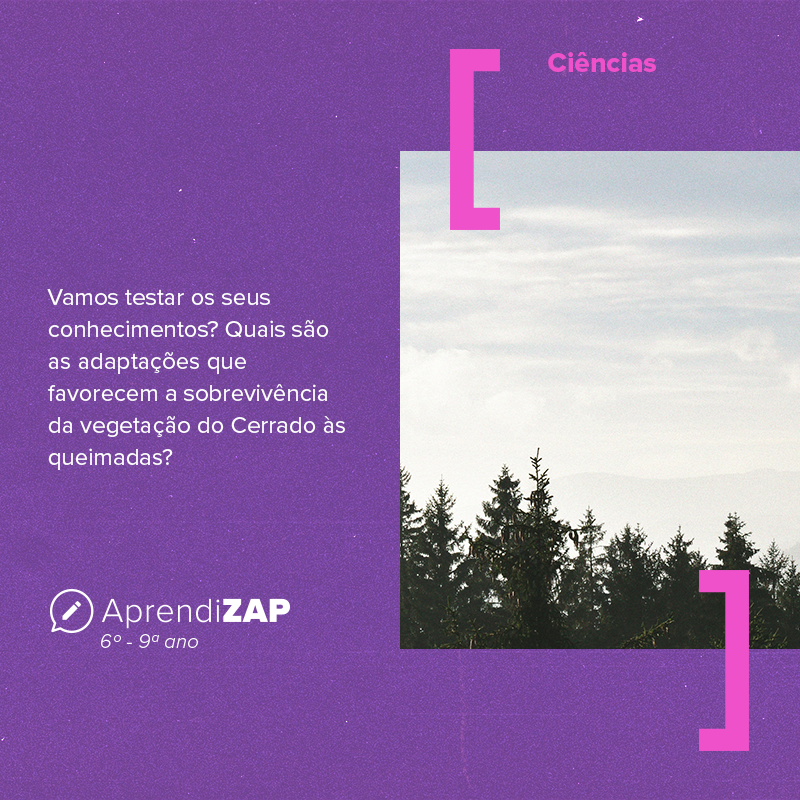 Mídia do exercício 1