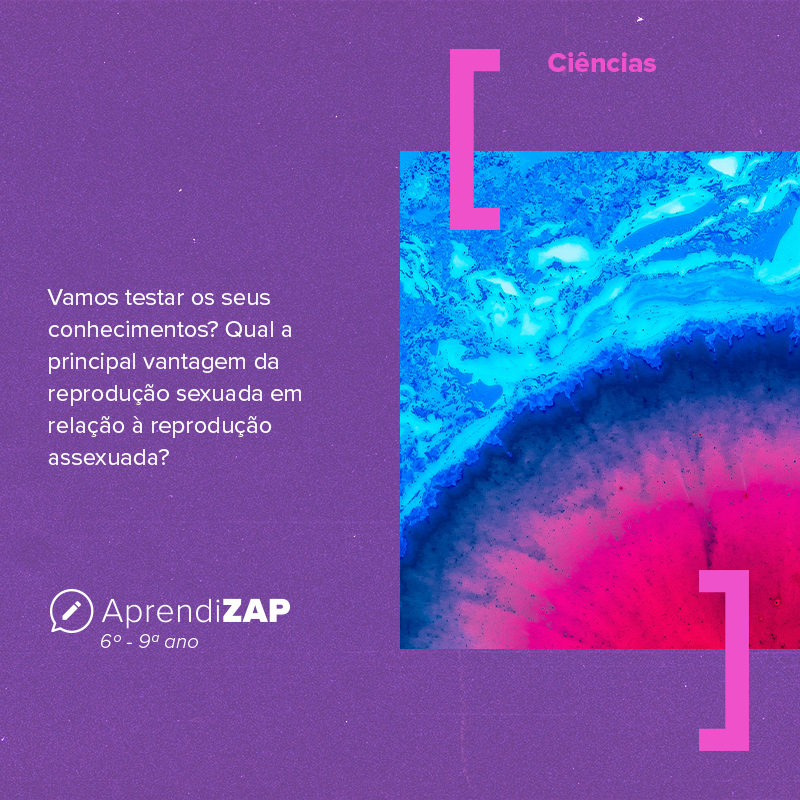 Mídia do exercício 1