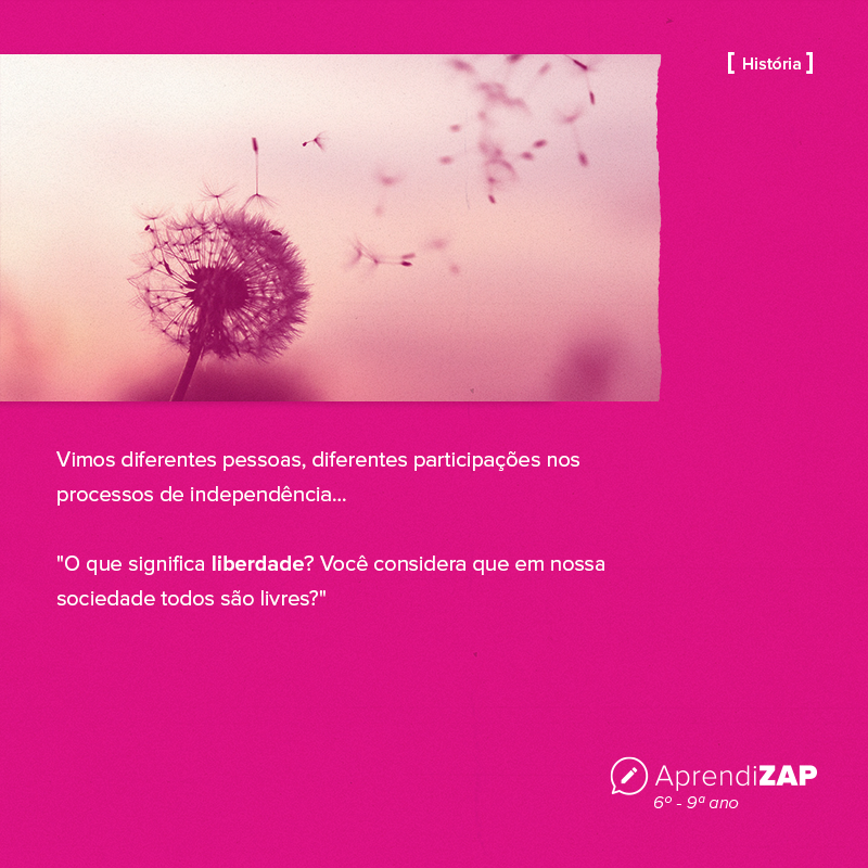 Mídia do exercício 1