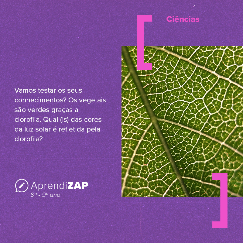 Mídia do exercício 1